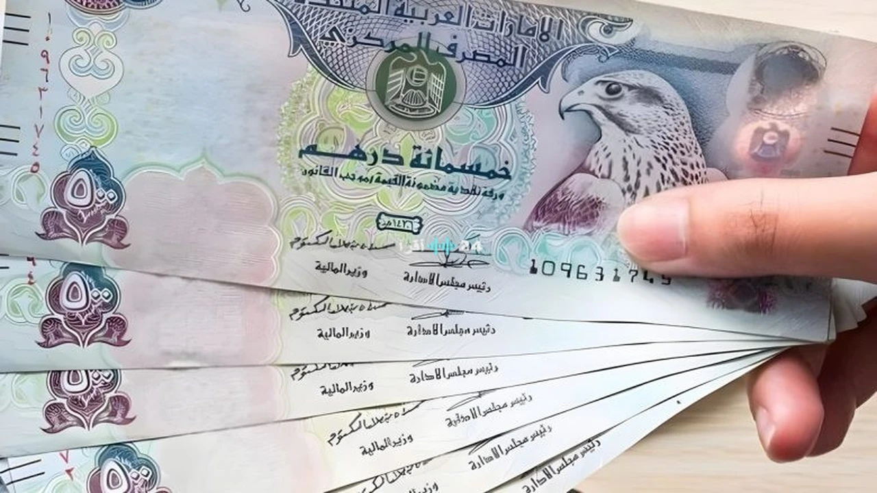 تغيرات أسعار صرف درهم الإمارات تضع المستثمرين أمام تساؤلات جديدة في البنوك